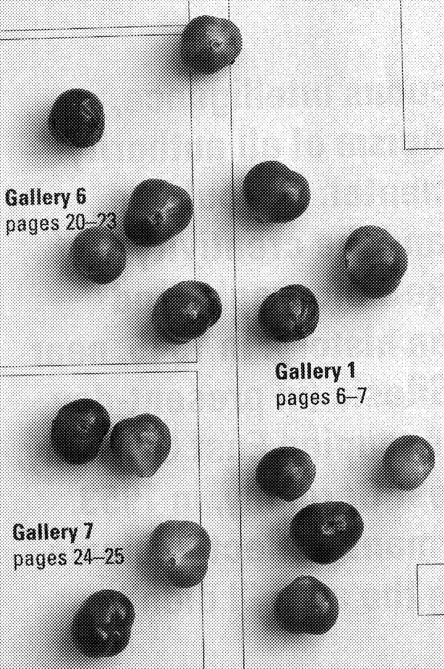 Book-Exhibition-Situation_2020