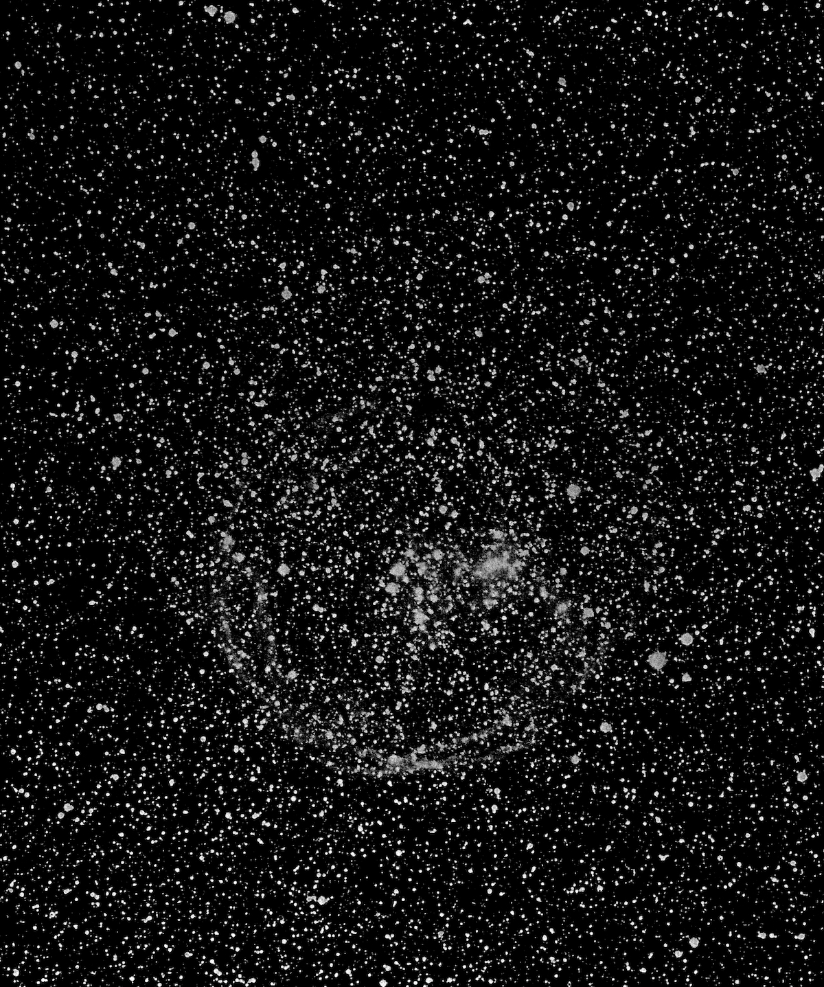 The Large Magellanic Cloud