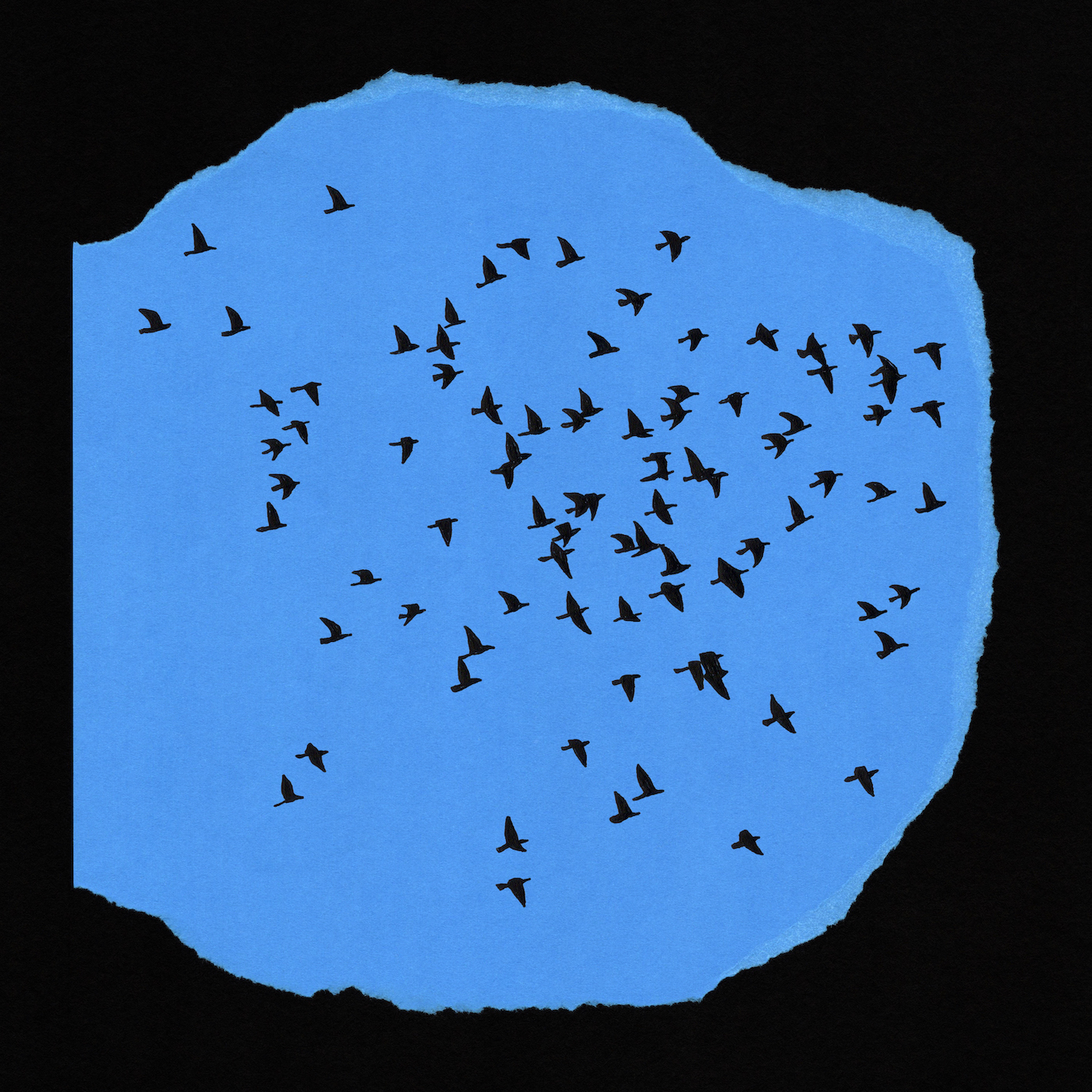 Birds Flock, 2026
