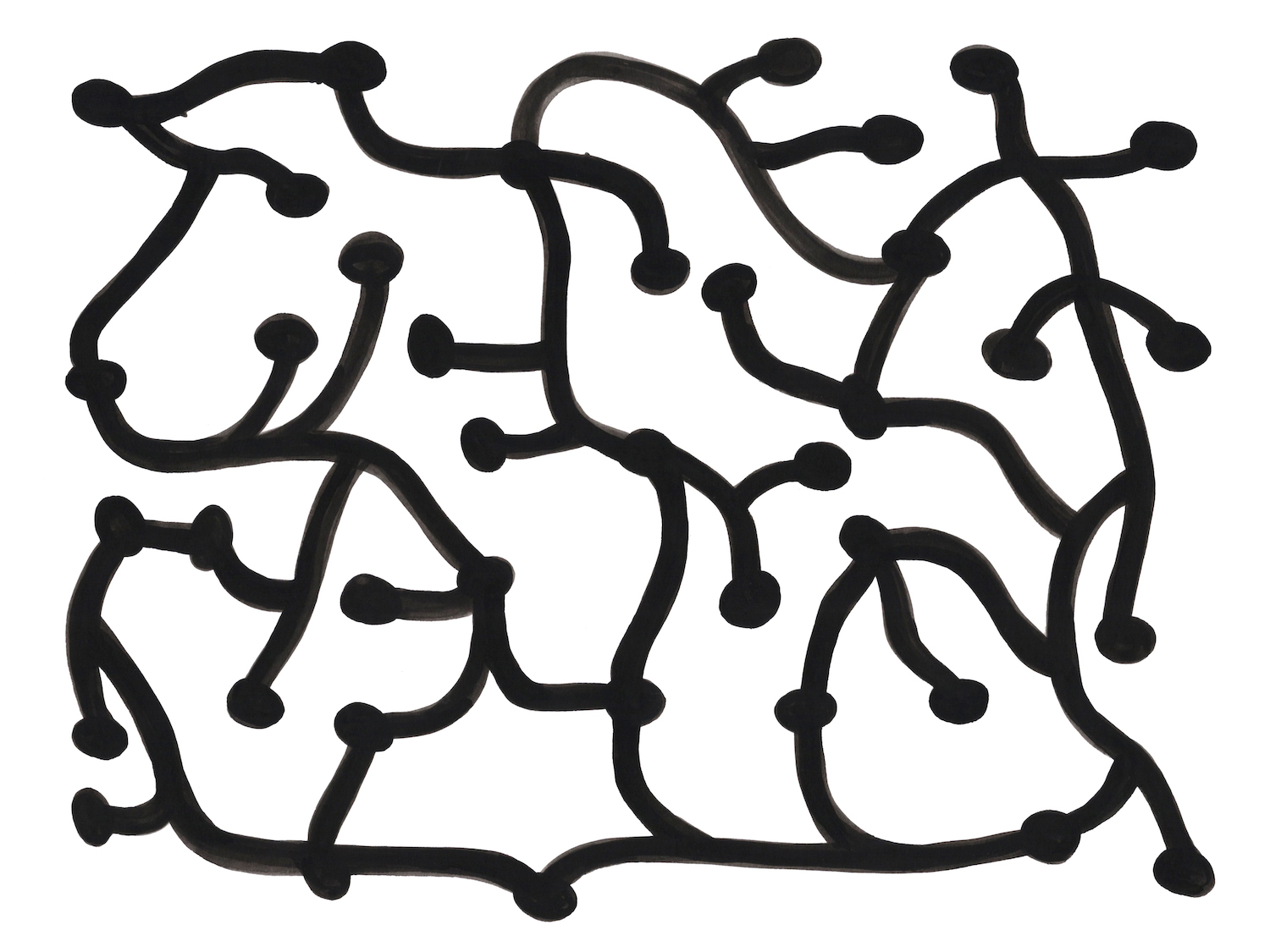 Circuit, 2026