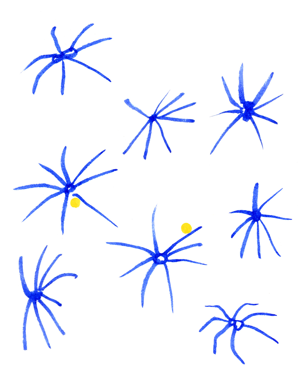 Eyeless Spiders, age unknown_2025