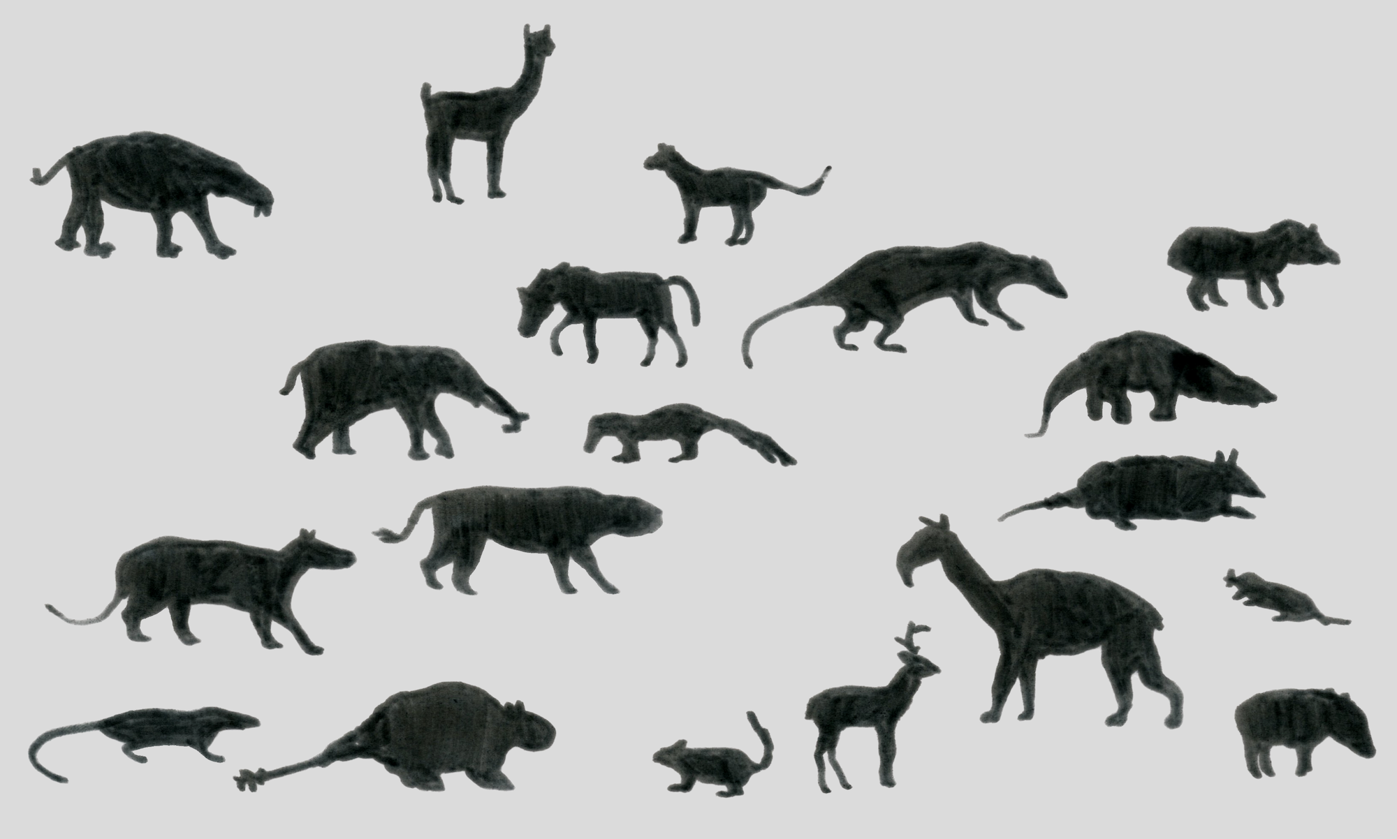 FreeRoamingWildAnimals_2026