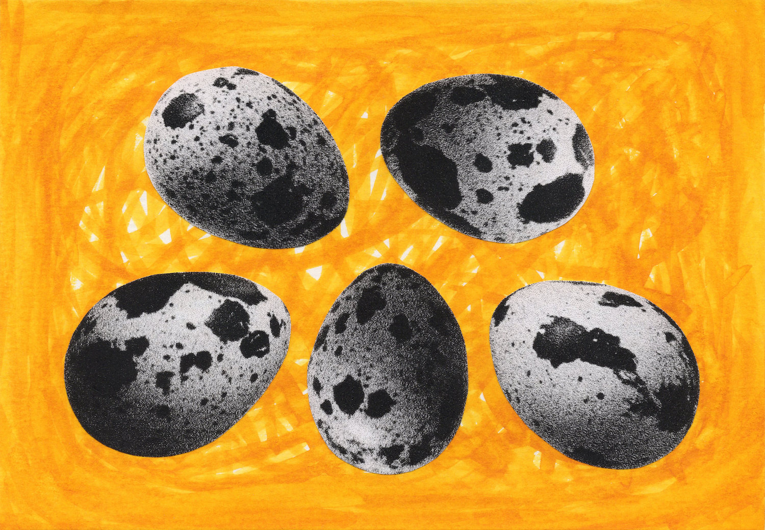 How To Put Five Quail Eggs, 2026