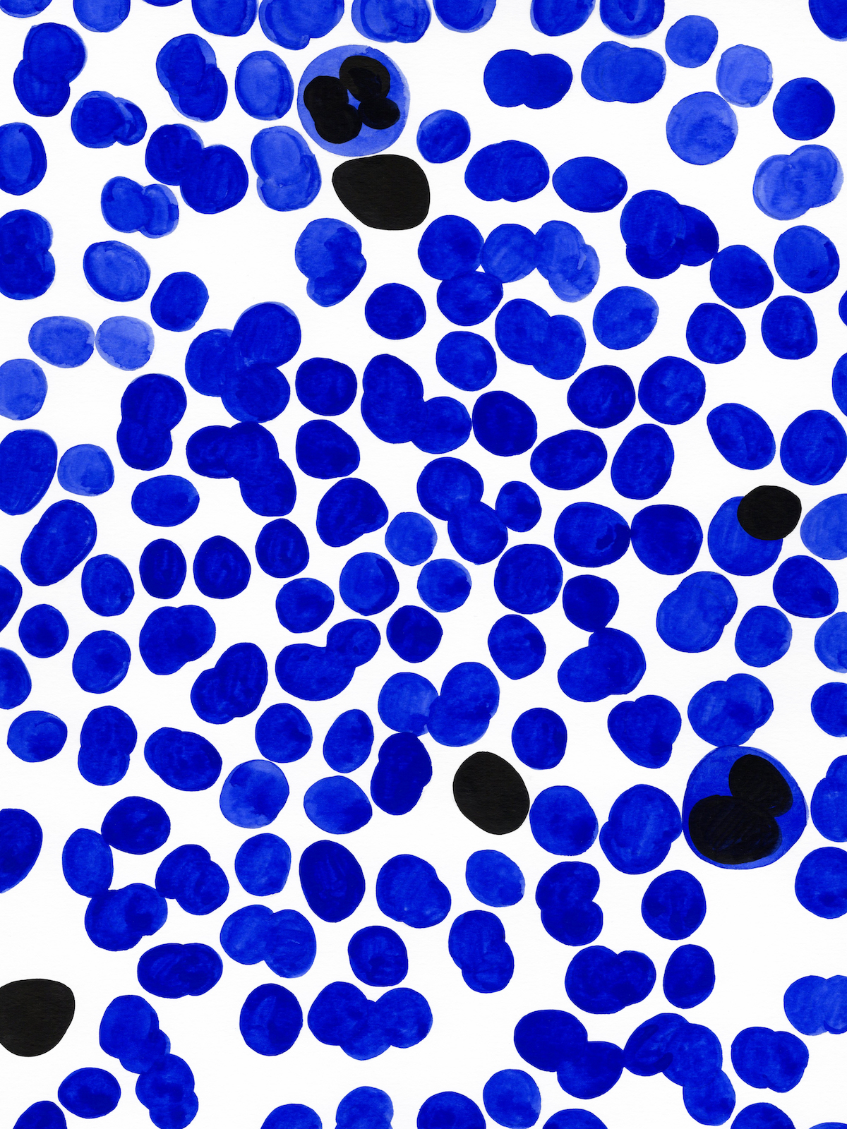 Human Blood Film, 2026