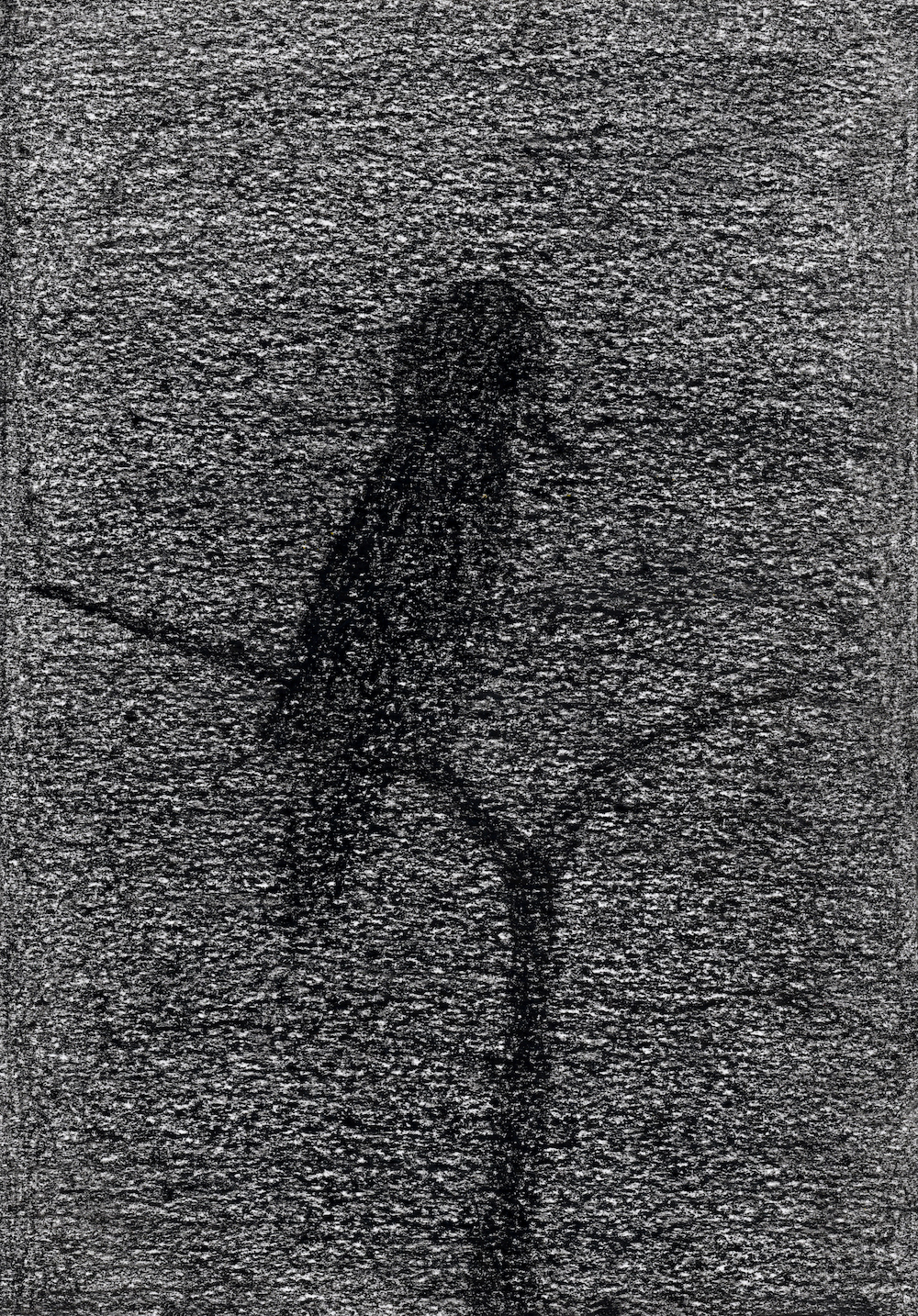 Innocent Cormorant, 2026