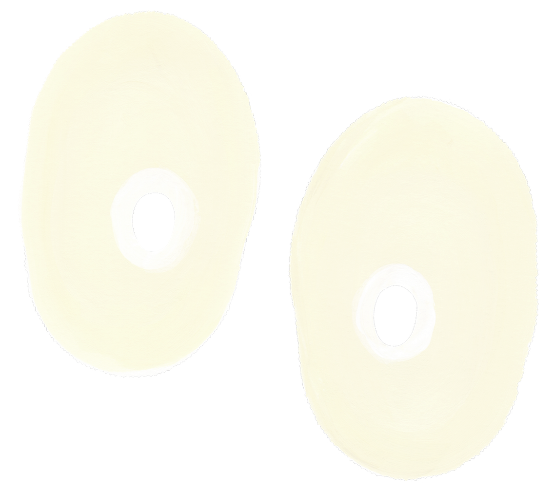 Lucapina crenulata_2025