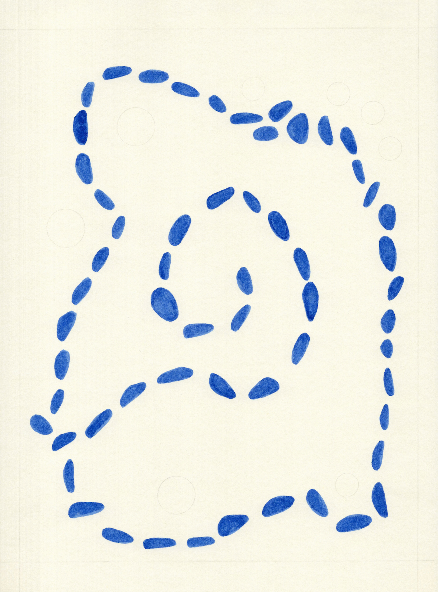 Rewilding Garden Plan, 2026