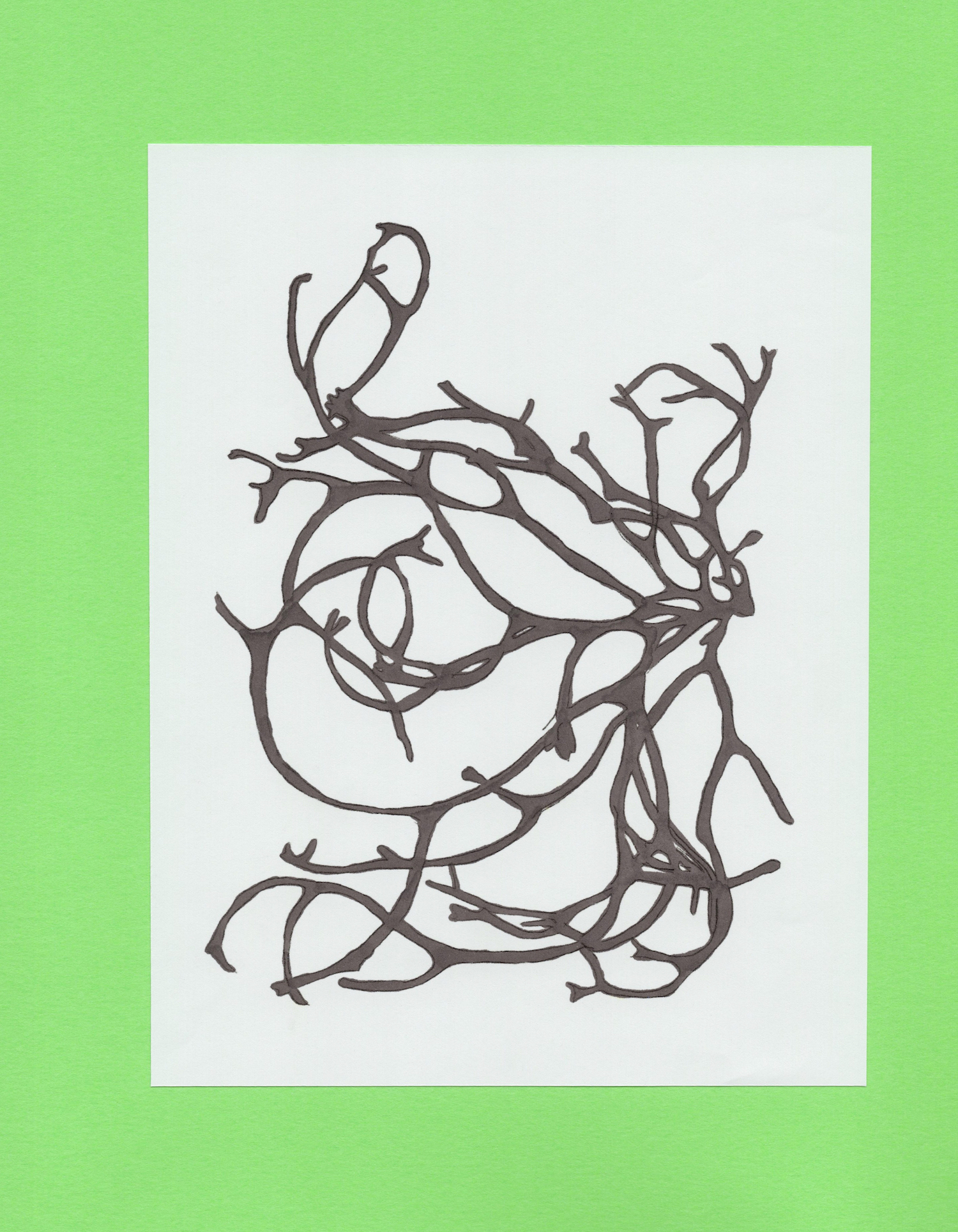 Seaweed Encyclopedia, 2026
