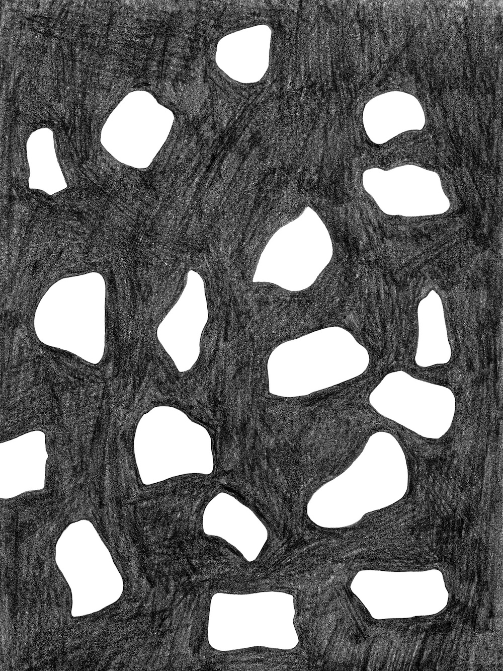 Shell Fragments on Grey Desk, 2025