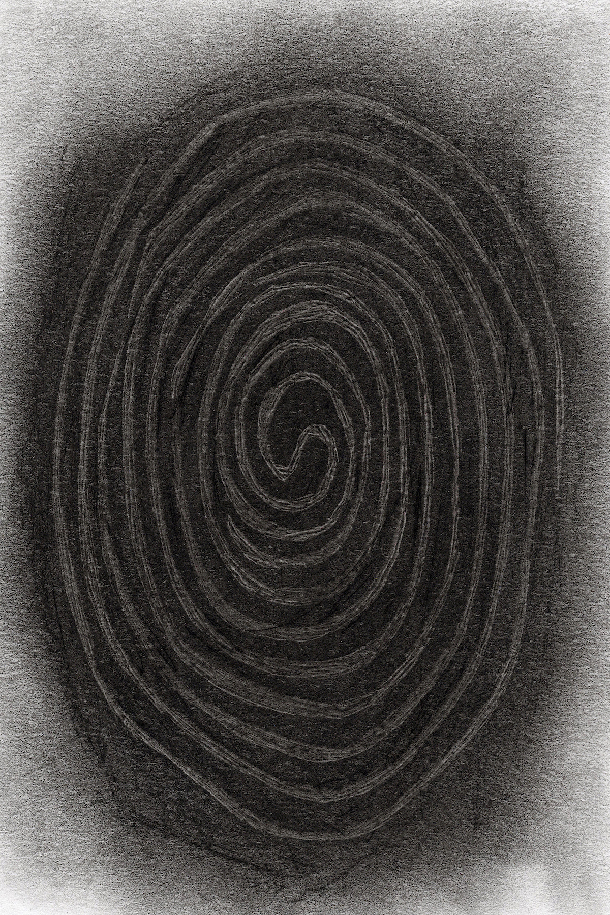Spirorhaphe Trace Fossil, 2026