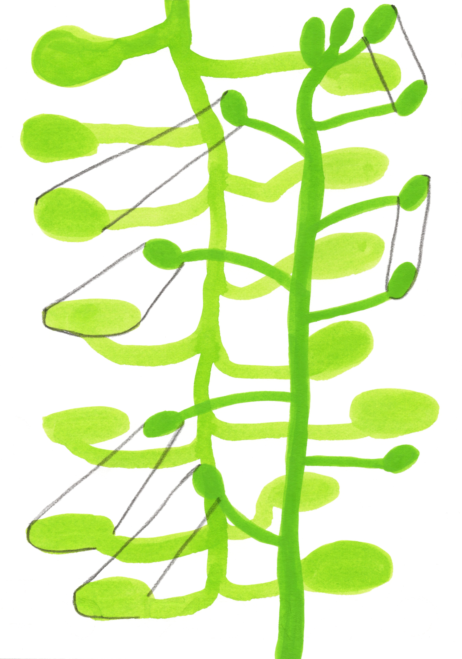 Symbiosis, 2026