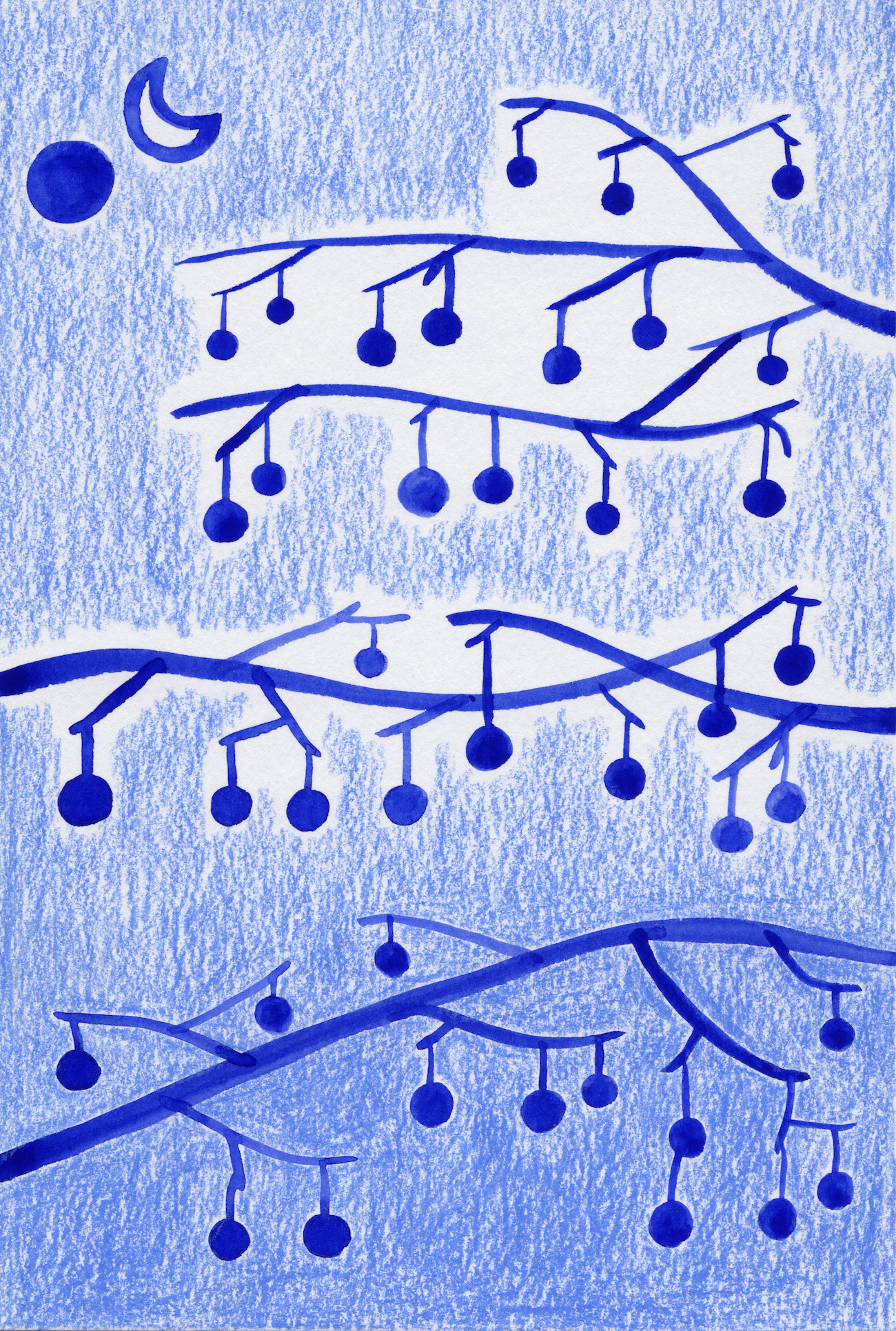 Winter Platanus, 2026