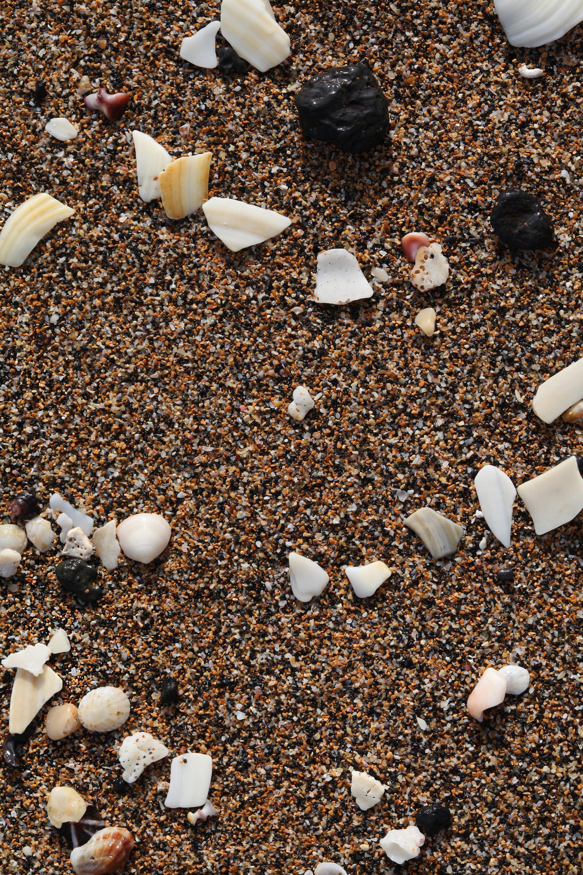 Seashore, 2020