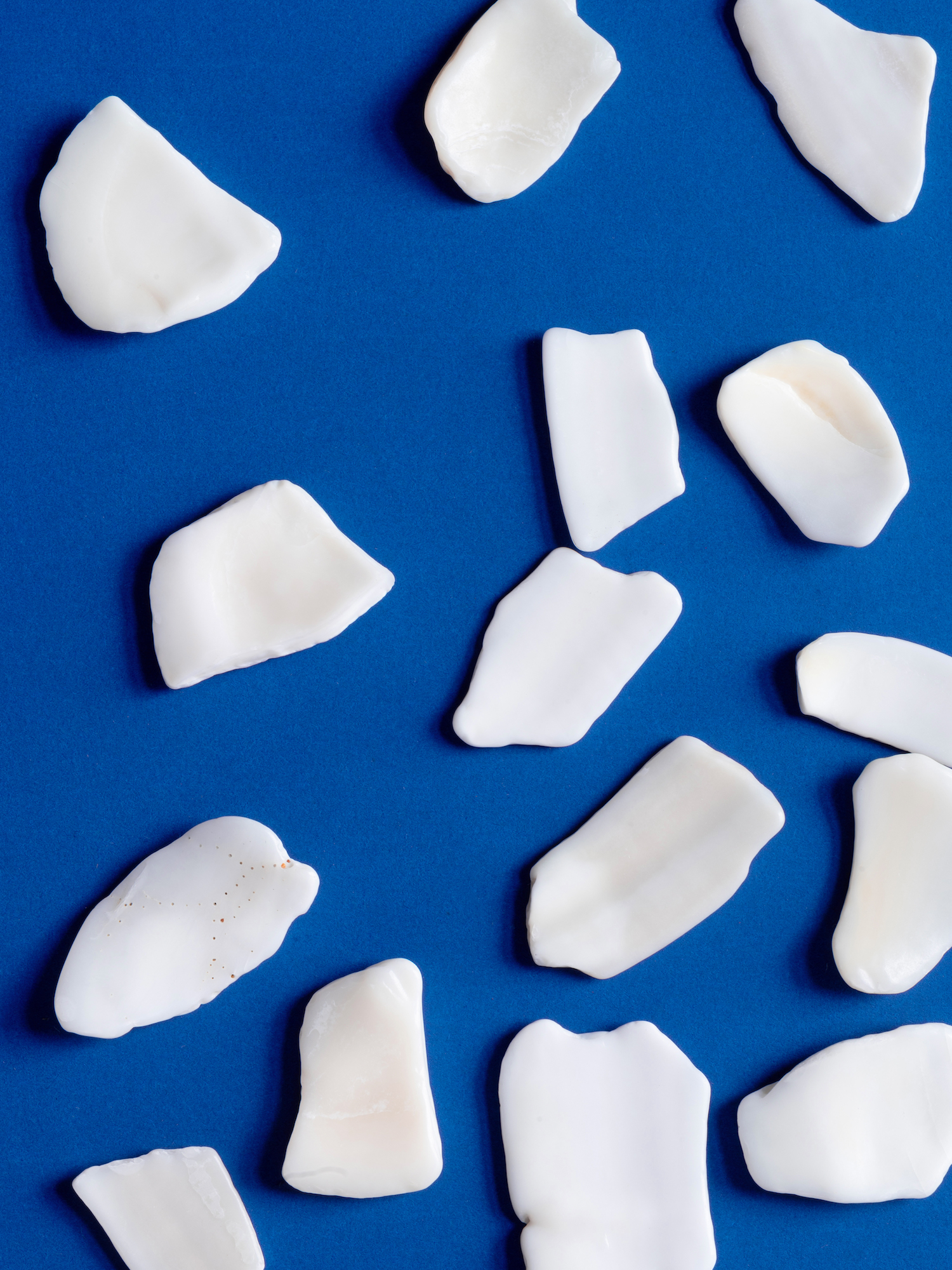 Shell Fragments on Blue Paper, 2026