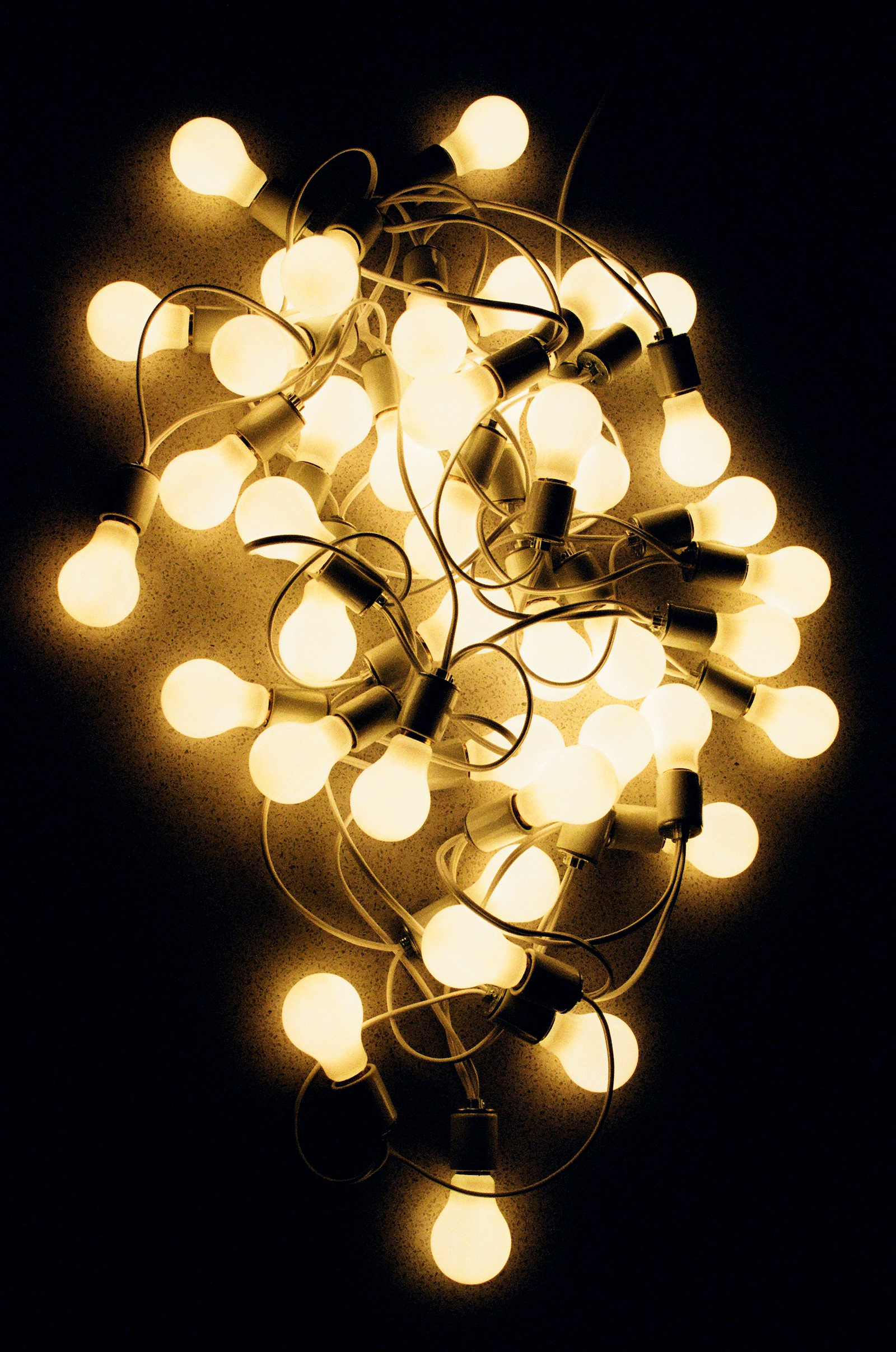 Félix González-Torres (detail)