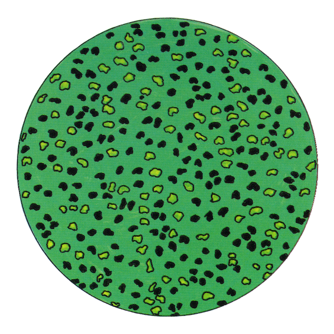 Chondritic mixtures of metal and sulfide grains (black), minerals of relatively low melting temperature (yellow), and abundant high-melting Mg and Fe silicates (green)