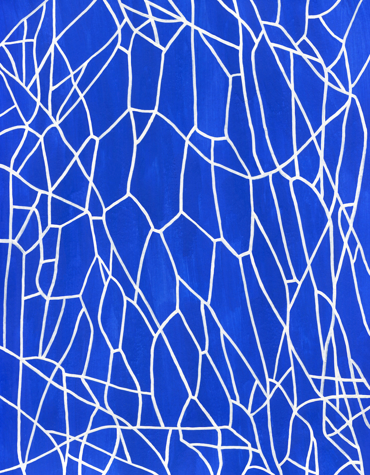 Animal Architecture_2025