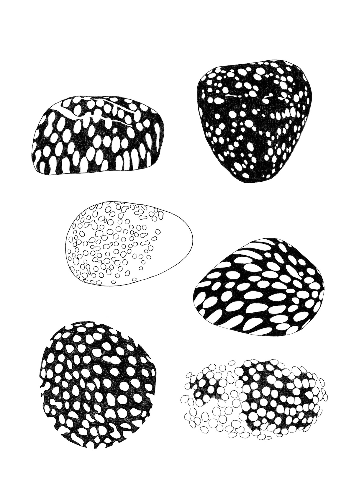 Collected Pebbles_2025