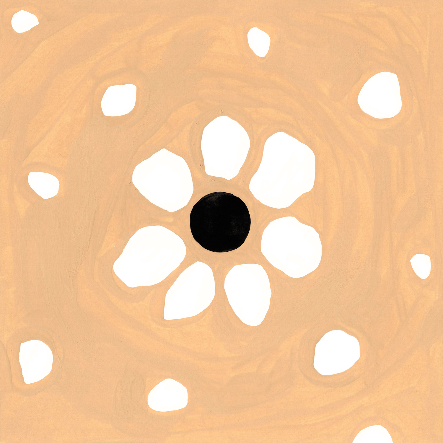 Corolla Spider's Burrow_2025