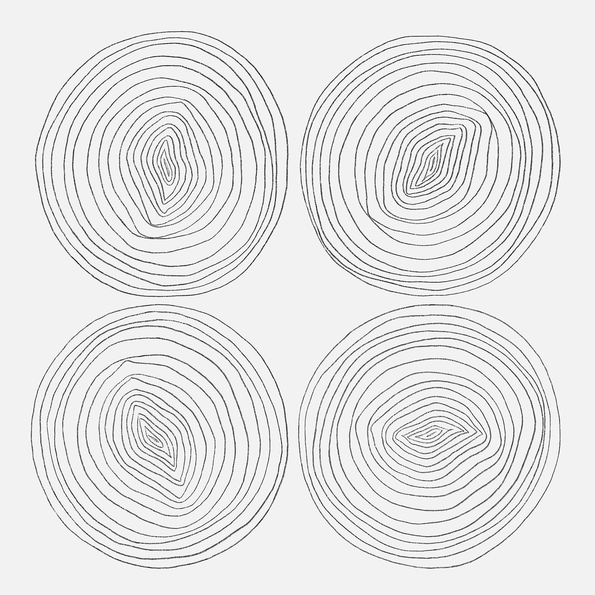 Leek Slices_2025