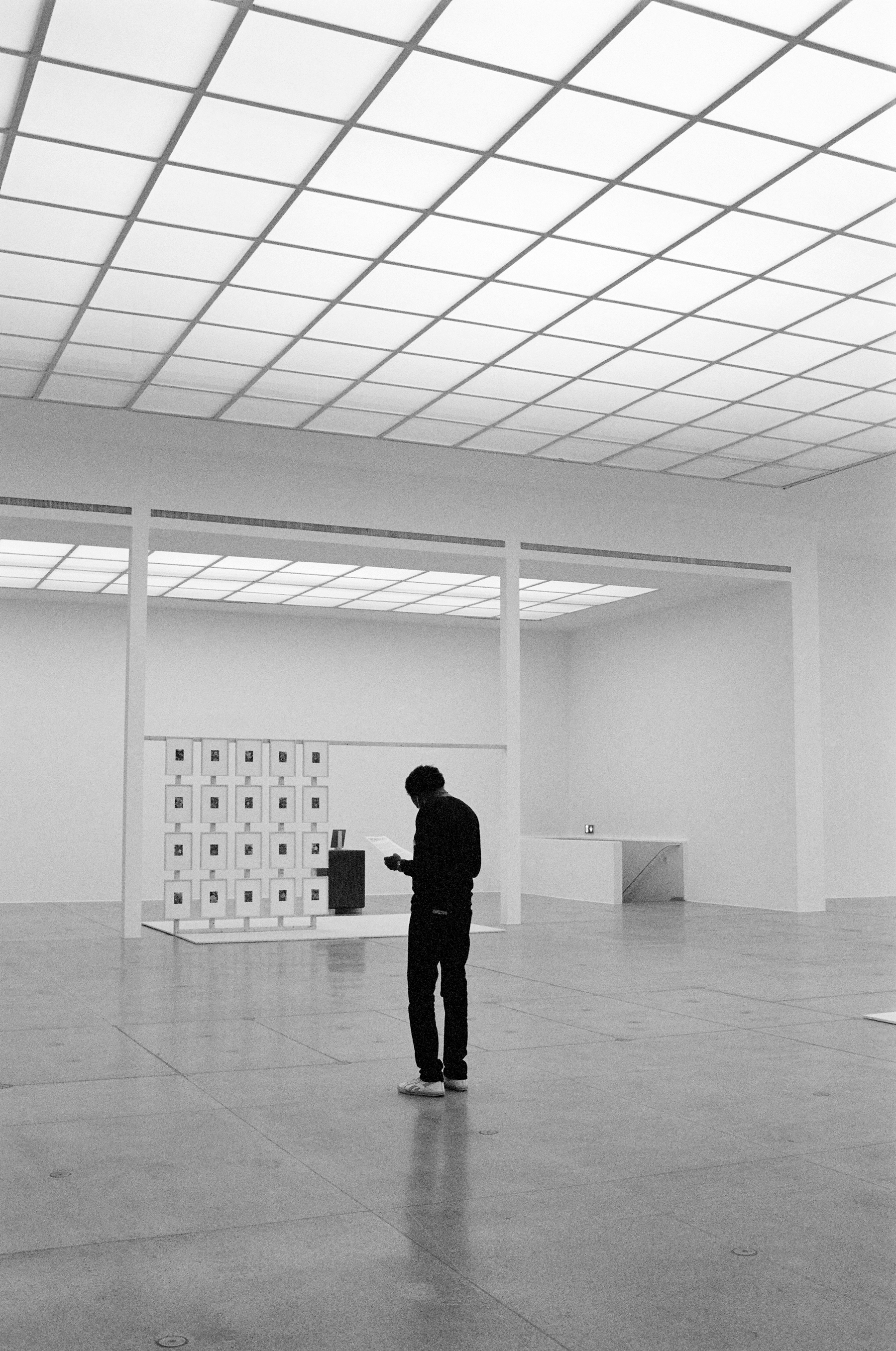Secession (Danh Vo)