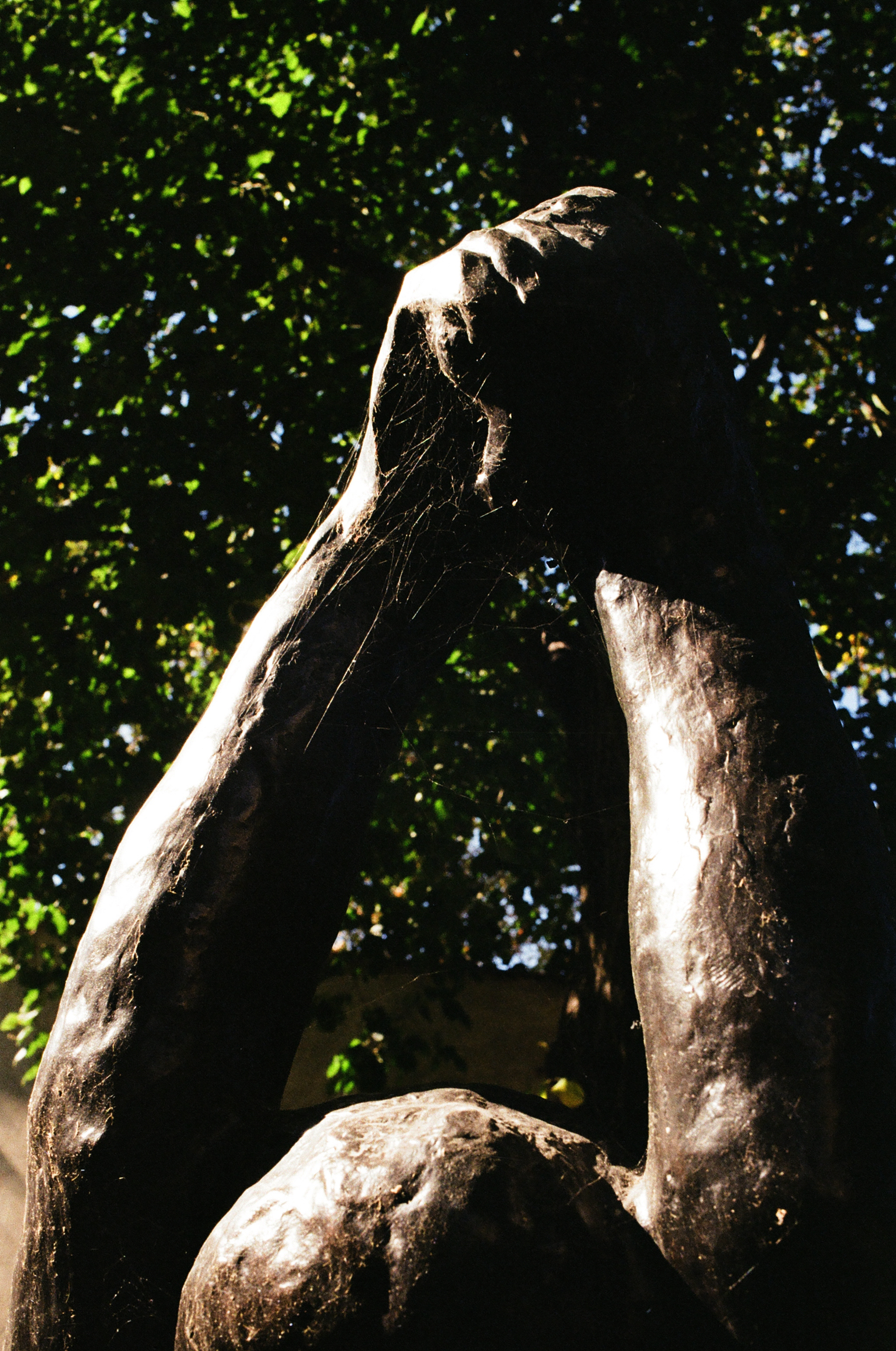 Araignée, Aphrodite, Musée Rodin