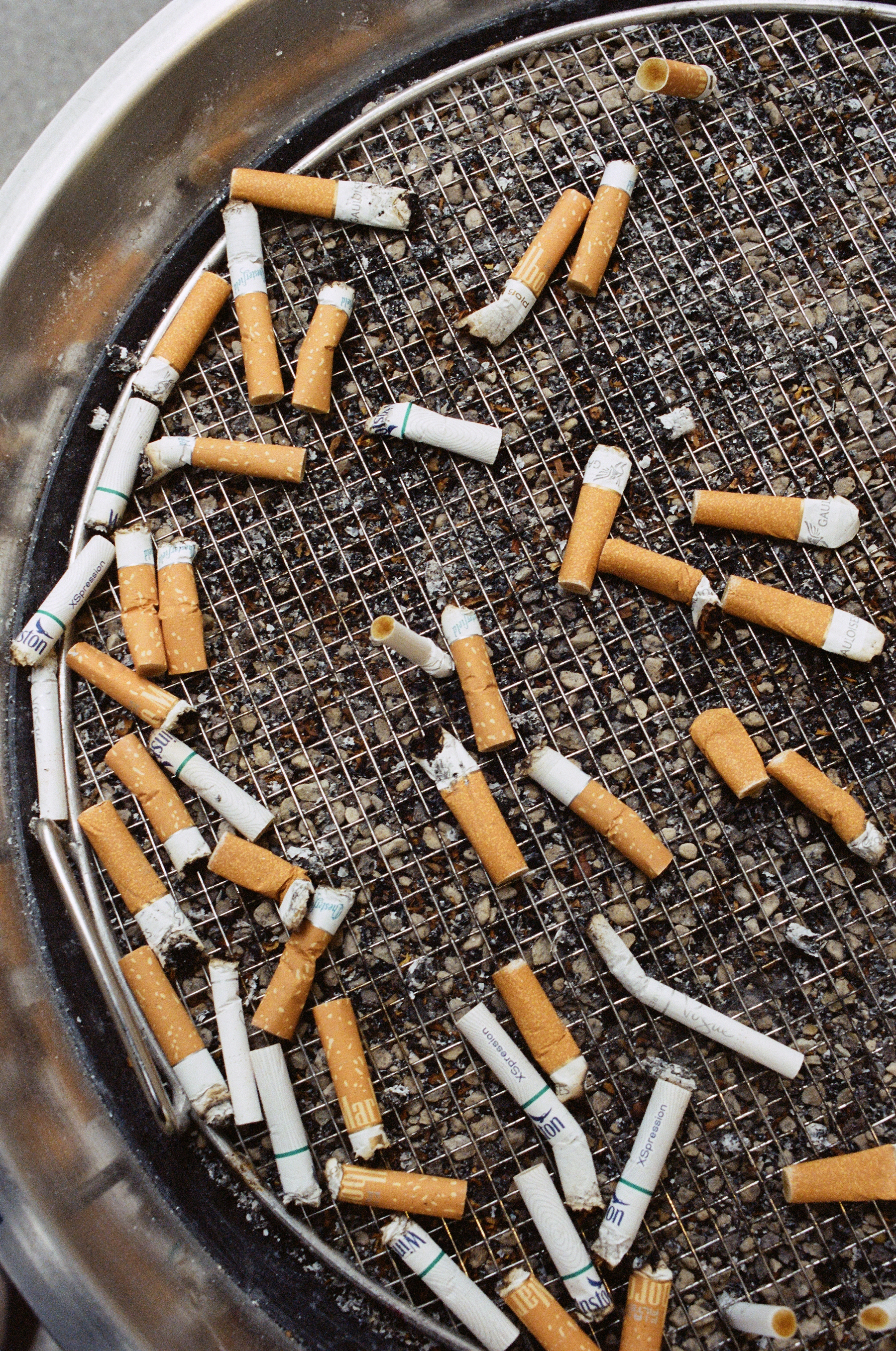 Cigarette Butts (Vienna)