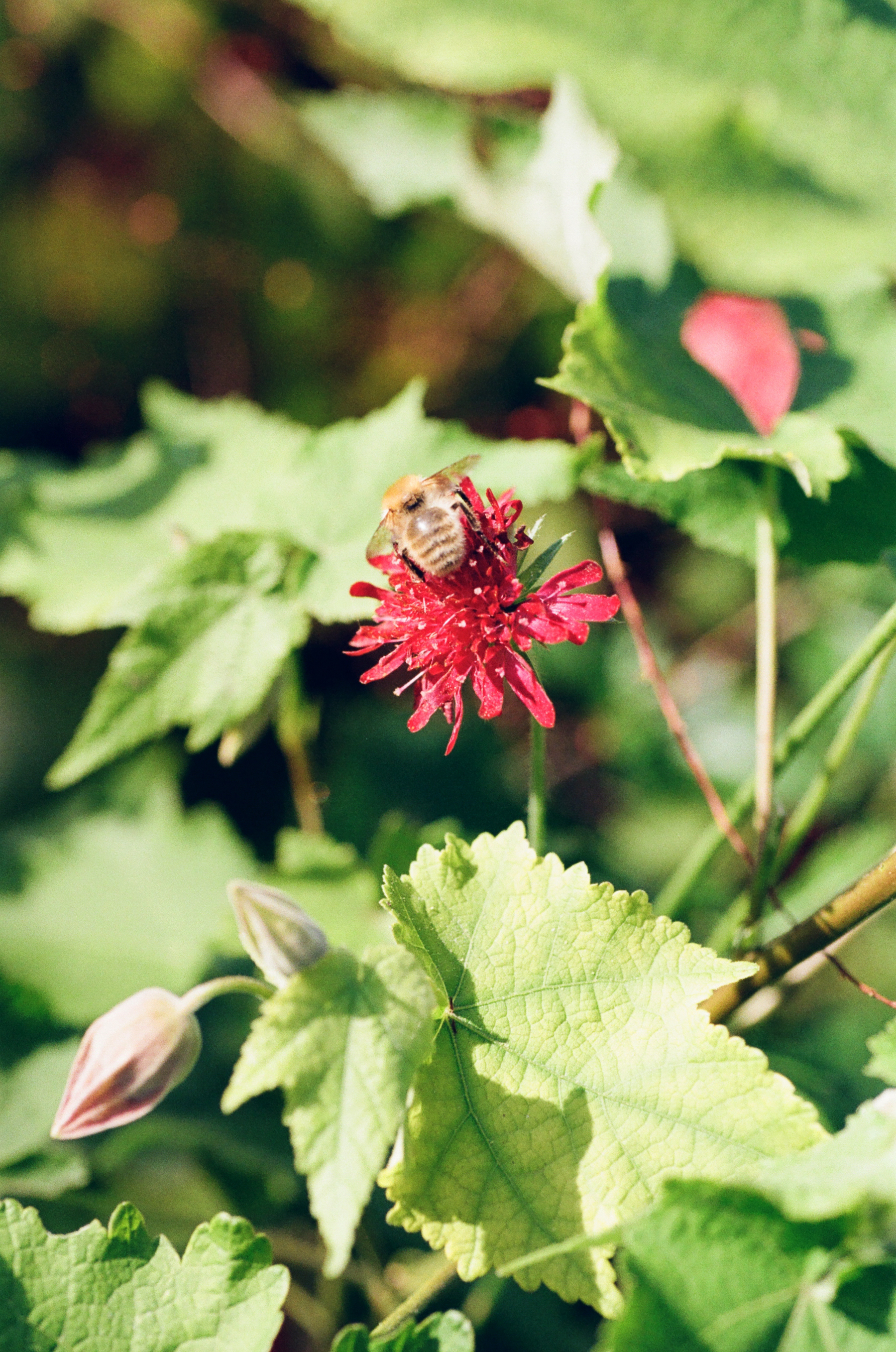 Giverny, 27 October 2021