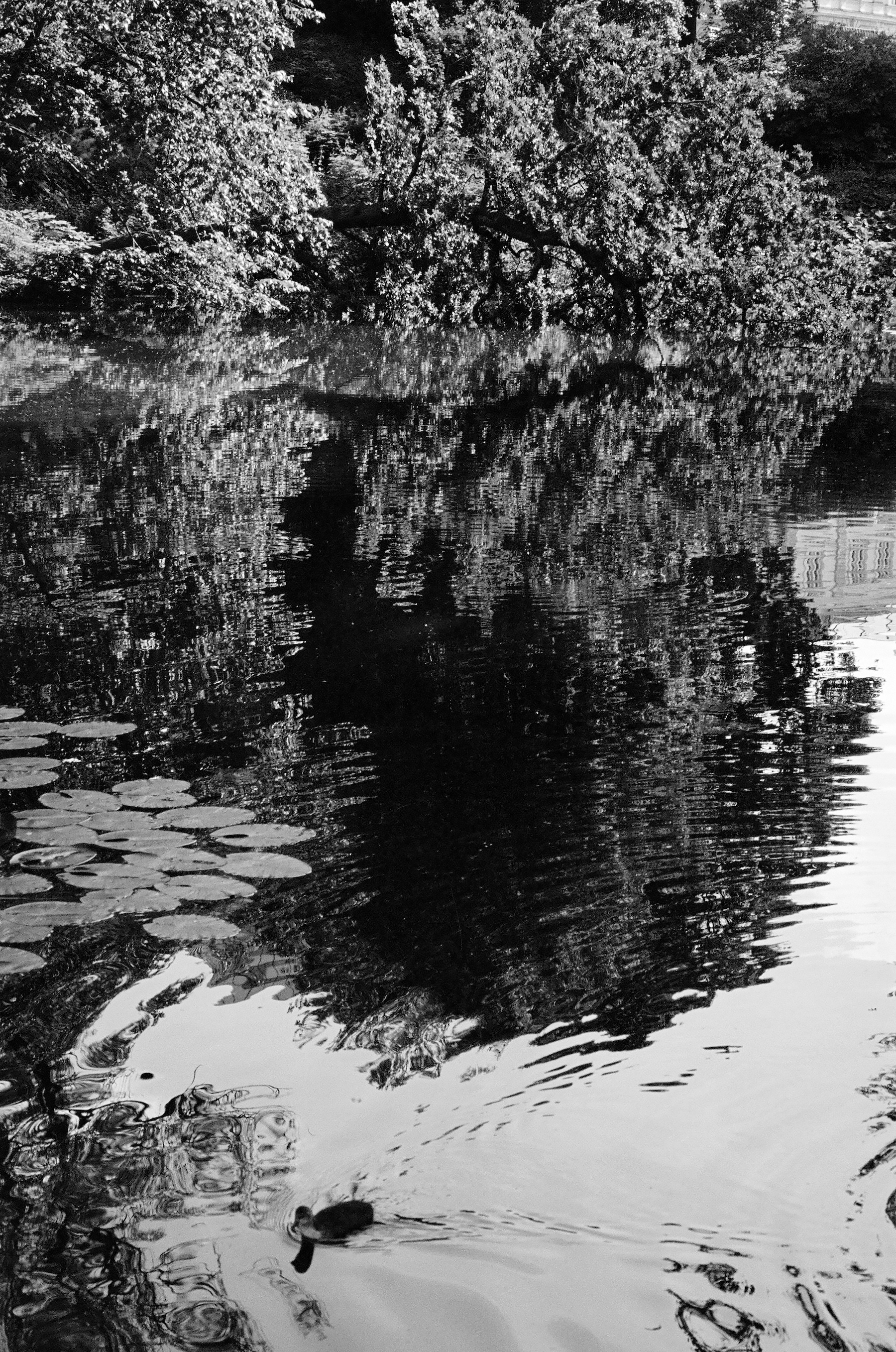 Planten un Blomen, Hamburg