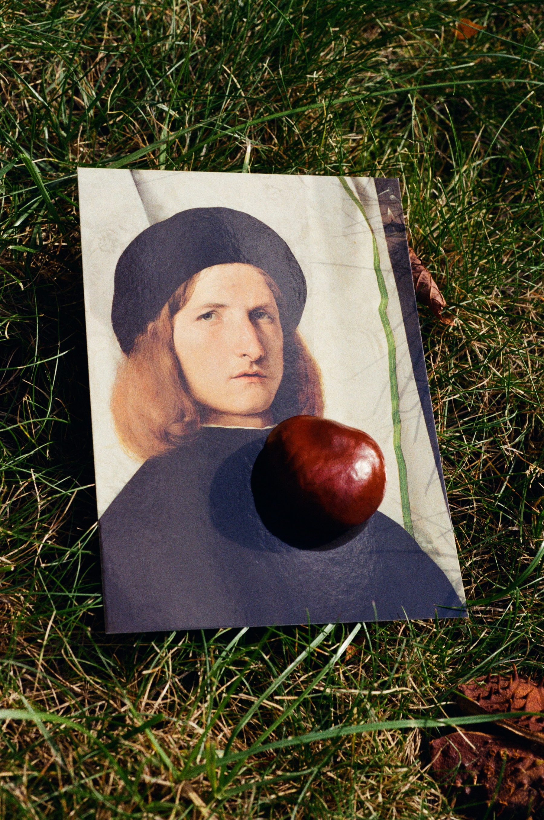 Postcard (Lorenzo Lotto - Portrait of a Youth against a White Curtain, ca. 1508), Chestnut, Brno