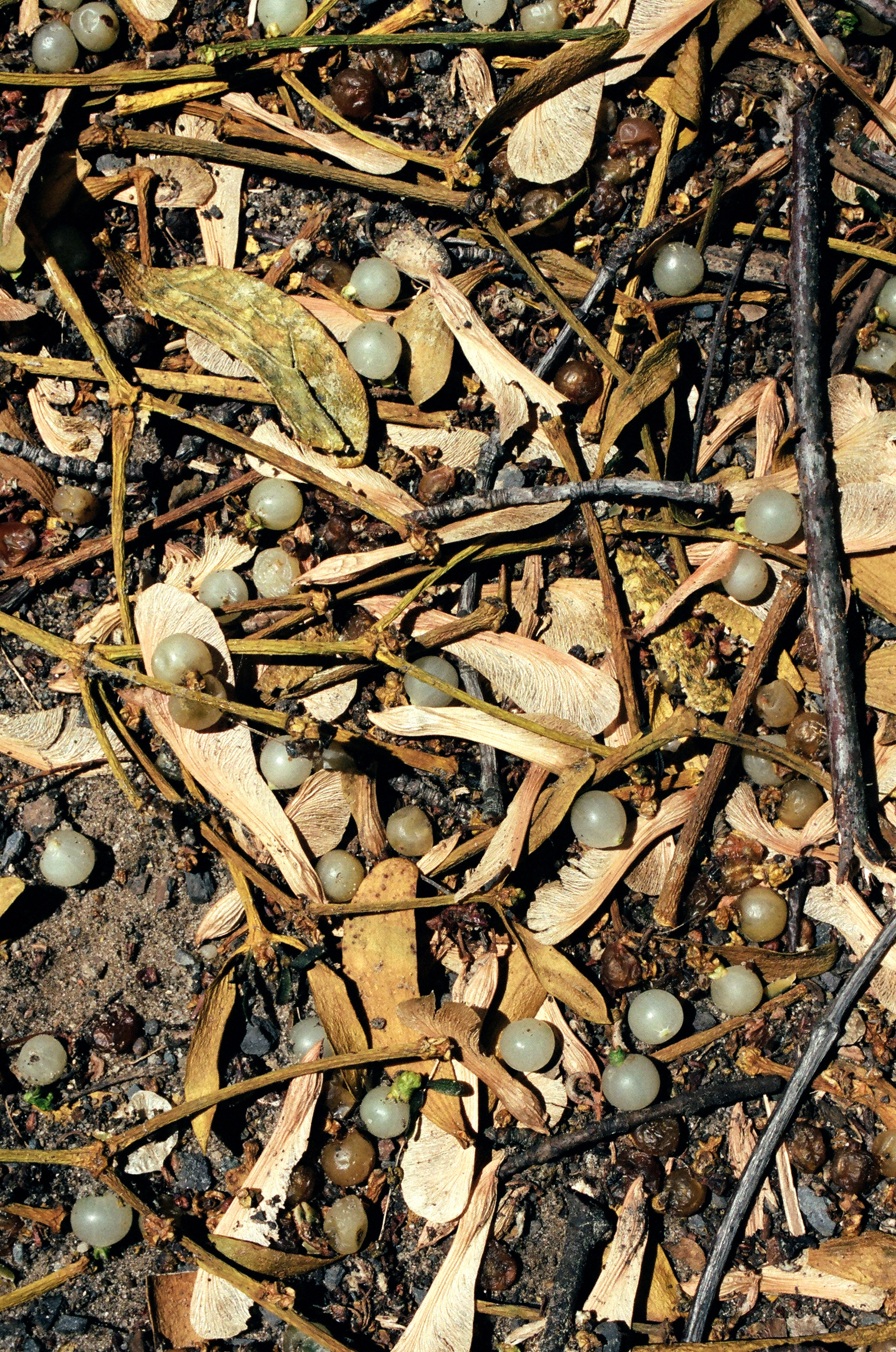 Schöneberger Ufer, Berlin