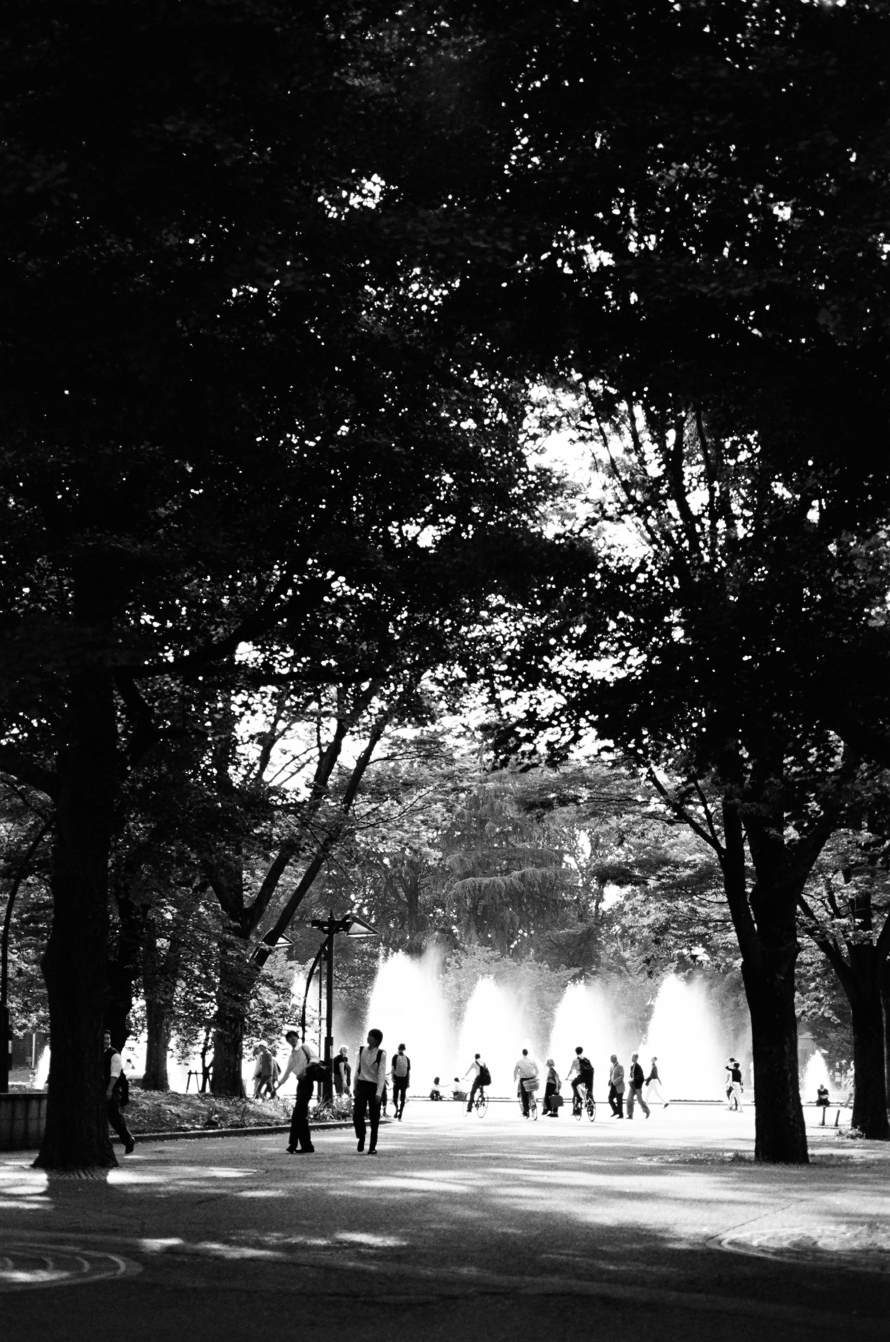 Ueno Park, Tokyo, May 2025