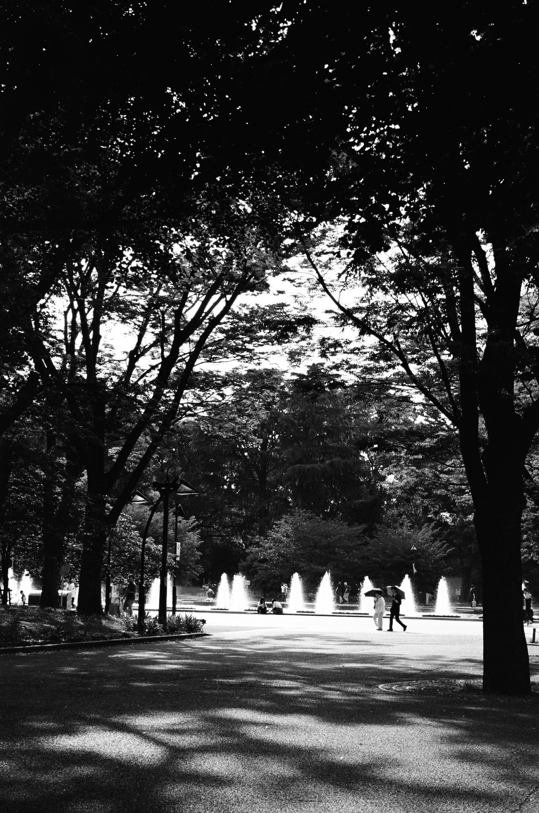 Ueno Park, Tokyo, May 2025